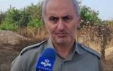 تلفات گسترده بچه ماهیها در تالاب میانکاله تلفات گسترده بچه ماهیها در تالاب میانکاله