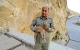 توضیحات دادستان یاسوج درباره پرونده شهادت محیط‌بان خاییز