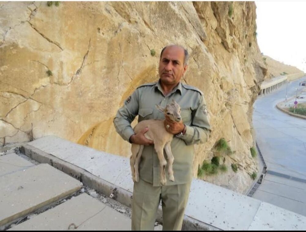 توضیحات دادستان یاسوج در خصوص پرونده شهادت محیط بان خاییز