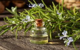 چگونه از روغن رزماری برای موها استفاده کنیم؟