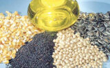 واردات روغن با ارز دولتی مانع خودکفایی است