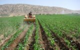 وضعیت بهره‌مندی برخی استان‌ها از ماشین‌آلات کشاورزی نامطلوب است