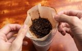 ثبتسفارش قهوه، کاکائو، ماهی تن و ذرت فردا آغاز میشود ثبتسفارش قهوه، کاکائو، ماهی تن و ذرت فردا آغاز میشود