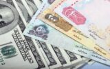 استفاده از ارزهای ملی بریکس را از فشار غرب خلاص می‌کند