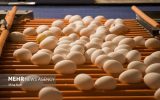 هر کیلو گرم تخم‌مرغ ۵۲ هزار تومان شد