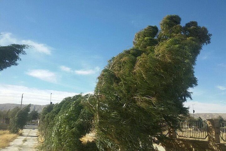 امروز و فردا نیمه غربی کشور همراه با باد شدید و خیزش گرد و خاک است