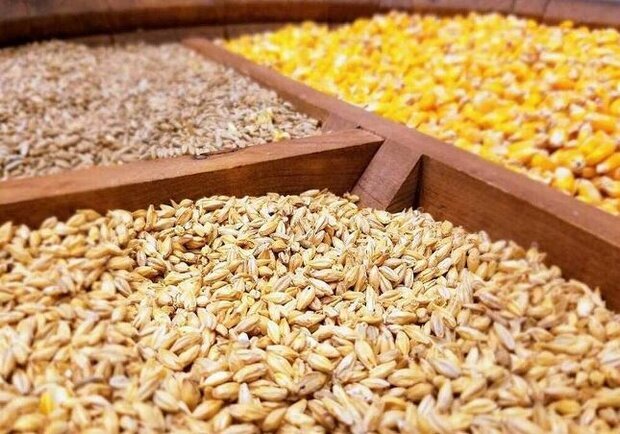 ترخیص نهاده‌های دامی تسریع می‌شود
