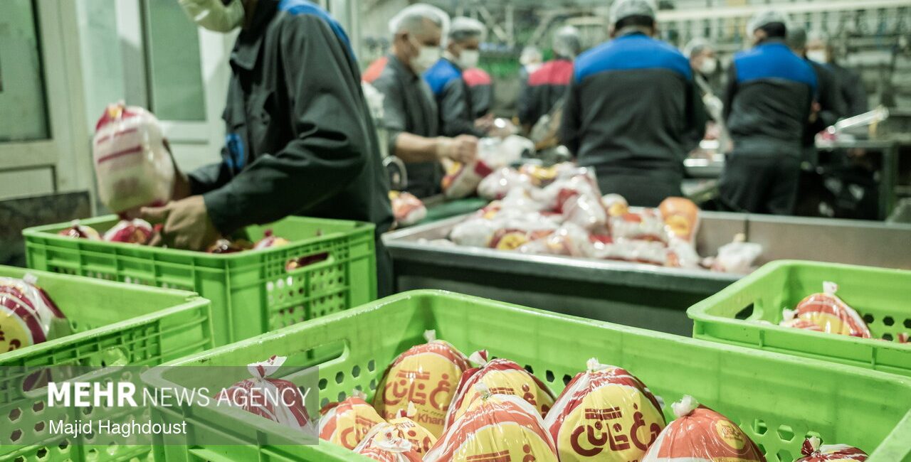 قیمت کارشناسی مرغ اعلام شد+ جدول