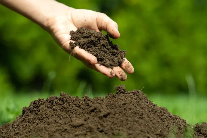 چگونه میکروب‌های خاک ممکن است آینده سیاره ما را کنترل کنند؟
