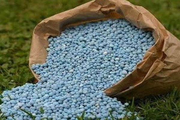 بیش از ۱۰۰۰ تن کود اوره در جنگ رمضان توزیع شد