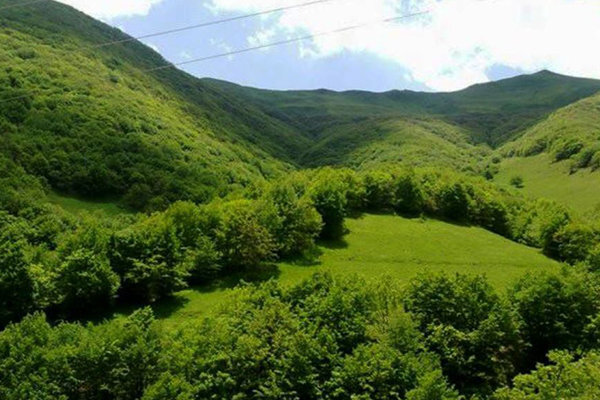 شکایت بین‌المللی حمله به سازمان منابع طبیعی پیگیری می‌شود
