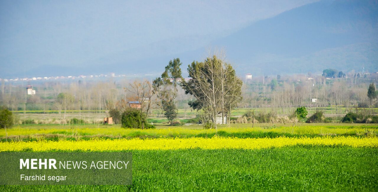 پیگیری جدی تسهیلات حمایتی در سال ۱۴۰۵