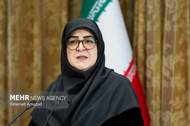 مهاجرانی: رژیم جعلی صهیونیستی صلح در غرب آسیا را به بازی گرفته است