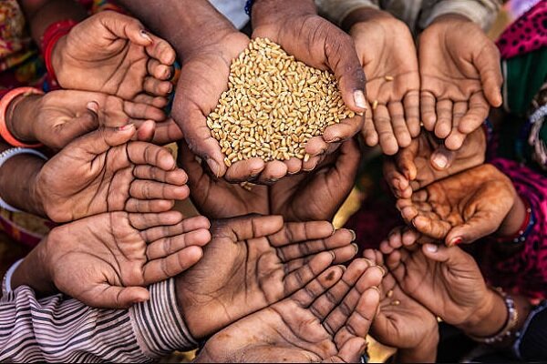 تکاپوی ژئوپلیتیک در تغییر شکل امنیت غذایی جهانی