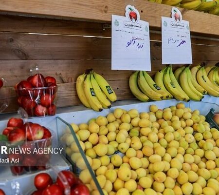 وزیر جهاد کشاورزی: همکاری‌های کشاورزی ایران و بلاروس توسعه می‌یابد