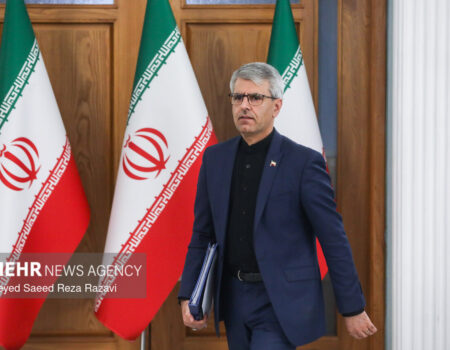 بقائی: ملت ایران بیش از هر زمانی متحد و مصمم است
