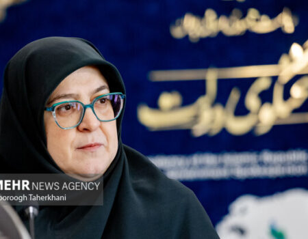 مهاجرانی: برق نیروگاه‌های تازه تاسیس به صنایع اختصاص می‌یابد