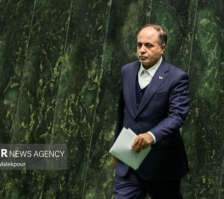 نوری: طرح مدیریت پایدار جنگل بر مبنای صیانت از منابع طبیعی تدوین شود