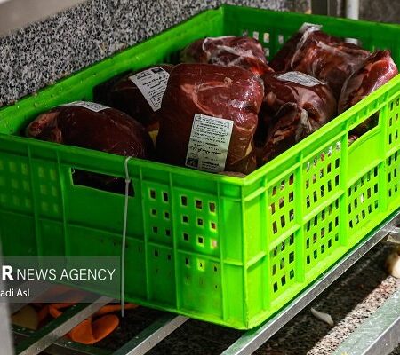 کنترل قیمت گوشت در بازار با افزایش عرضه شدنی است