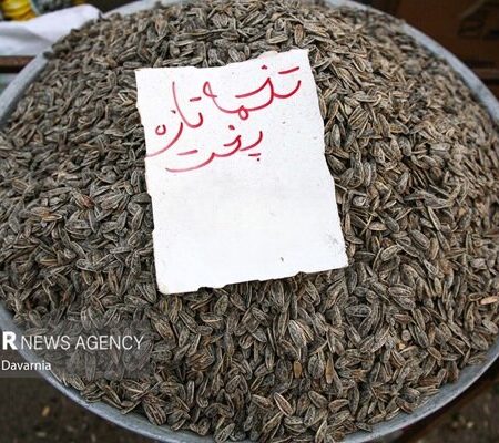 صادرات ۱۵ محصول کشاورزی آزاد شد