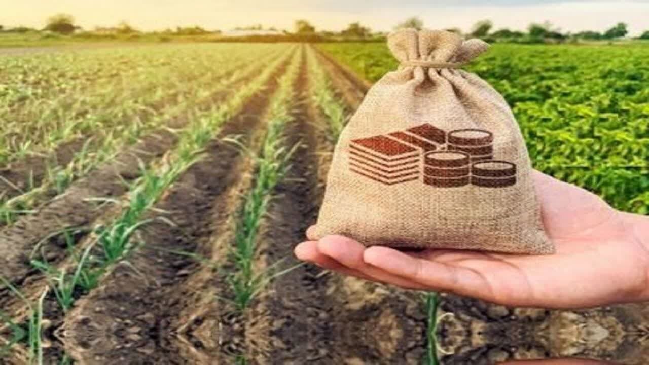 پرداخت خسارت‌های بخش کشاورزی به‌ روز شد