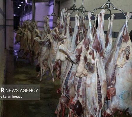 کشف و توقیف گوشت غیر بهداشتی در البرز؛ تکذیب گوشت الاغ بودن محموله